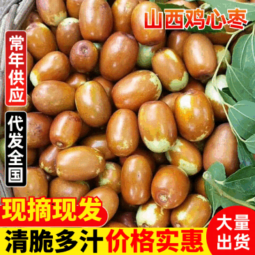 山西省运城市鲁因村百年老树鸡心枣鲜枣现摘现发供电商市场