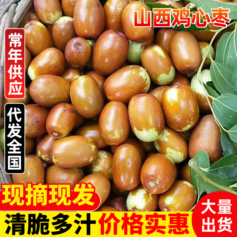 山西省运城市鲁因村百年老树鸡心枣鲜枣现摘现发供电商市场