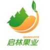 启林果业的一亩田店铺