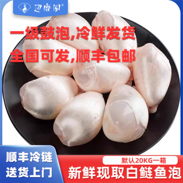 鱼泡鱼鳔，日生产8000斤，接全国客商，批发零售发全国