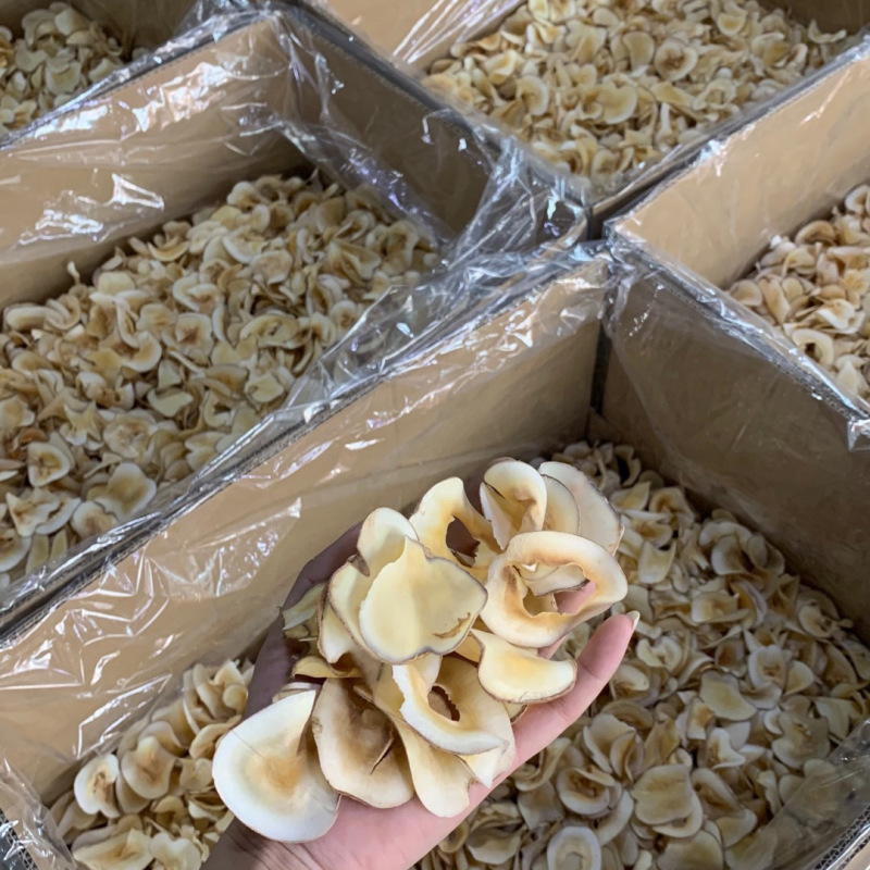 海底椰片批发原味干片煲汤材料甜品量大价优海底椰干片