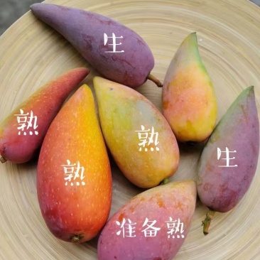 接电商、微商、社区团购，日出500箱