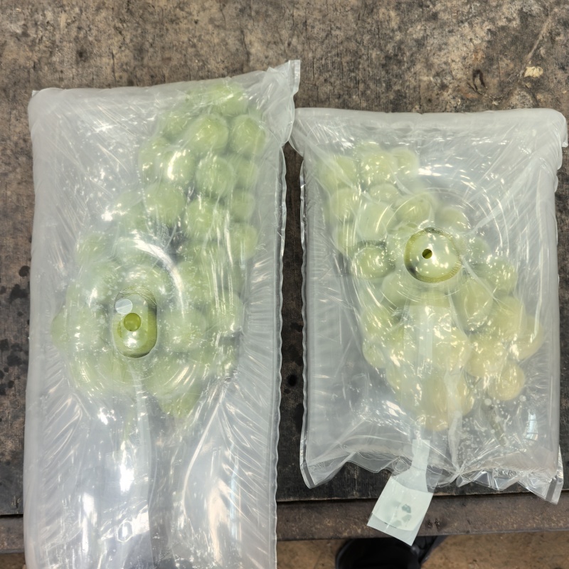 阳光玫瑰葡萄包装发货包邮各地对接电商商超