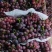 河北威县巨峰葡萄产地一手货源大量走货欢迎随时电话联系