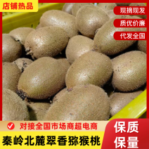 翠香猕猴桃规格齐全大量供应，精品猕猴桃欢迎咨询合作