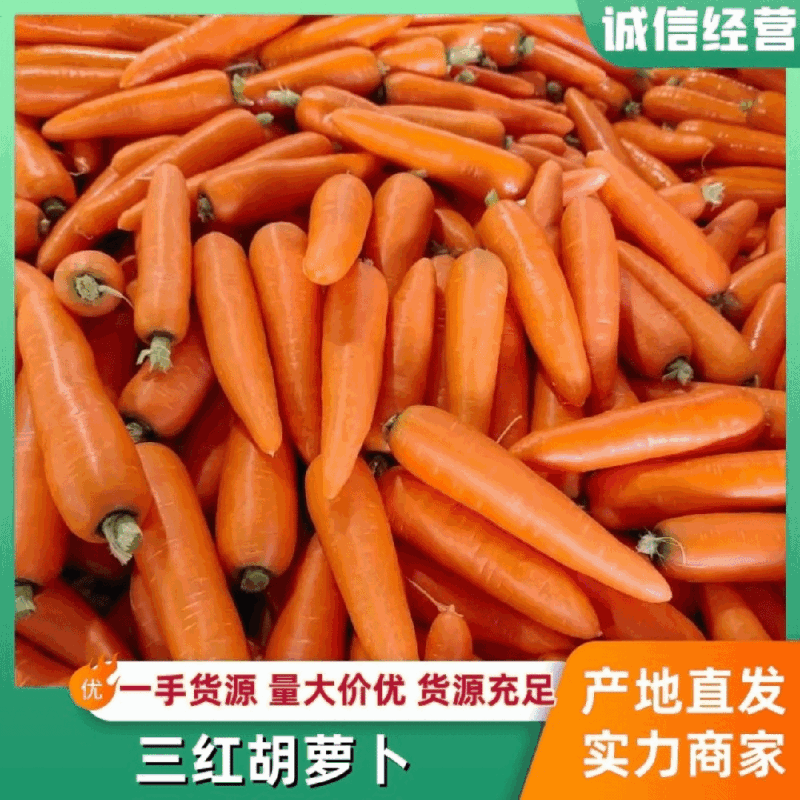 通许胡萝卜三红胡萝卜电商货加工货商超都有可做各种包装