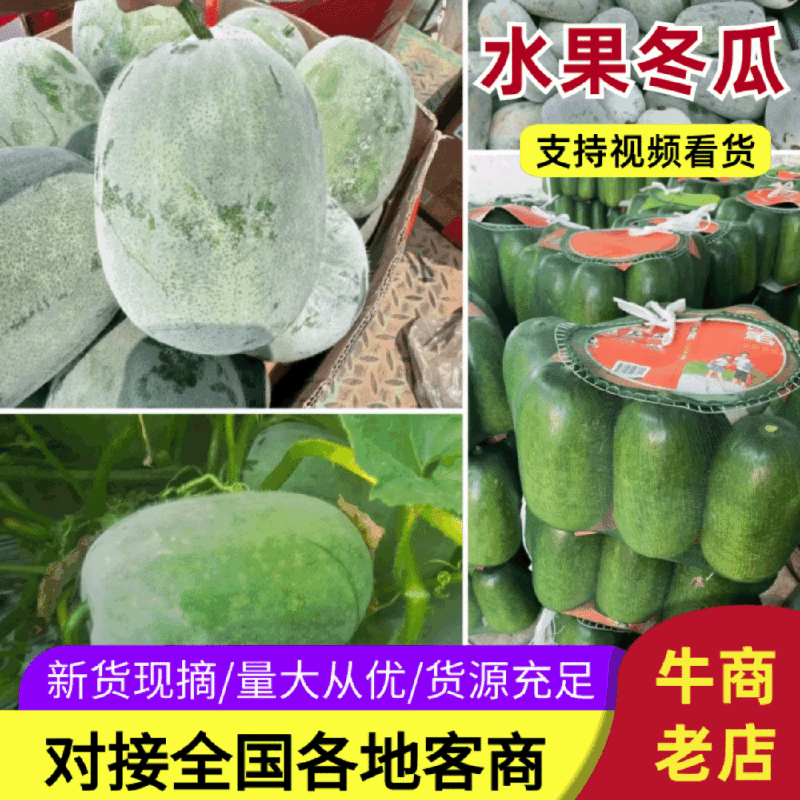 水果冬瓜现货面积大有场地工人备货快随来随走一条龙服务按需分拣