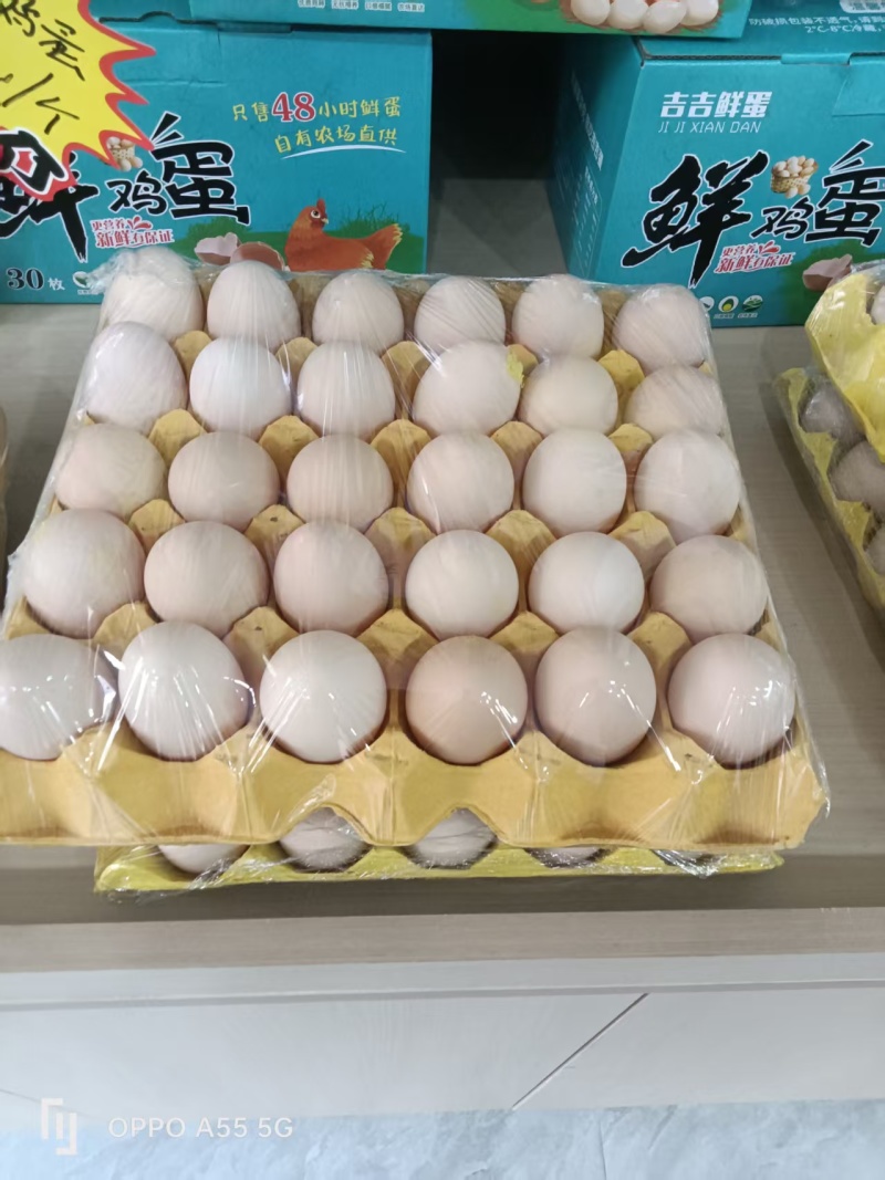 粉壳土鸡蛋养殖场直供稳定供应量大价优欢迎来电洽谈