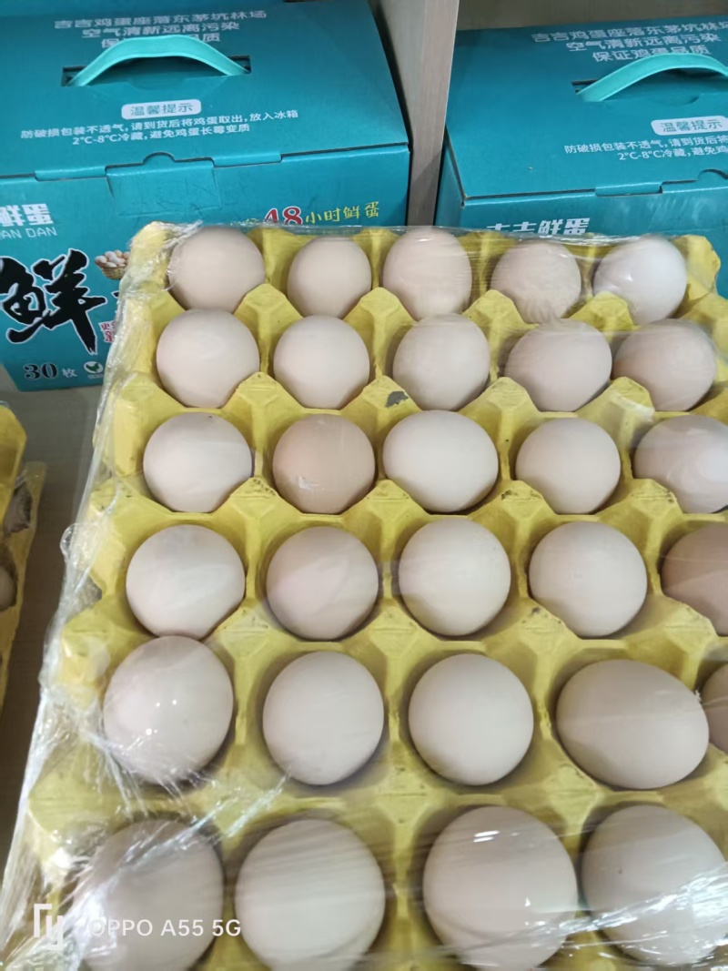粉壳土鸡蛋养殖场直供稳定供应量大价优欢迎来电洽谈
