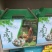 绿壳土鸡蛋一手货源现货现发品质保障欢迎咨询合作