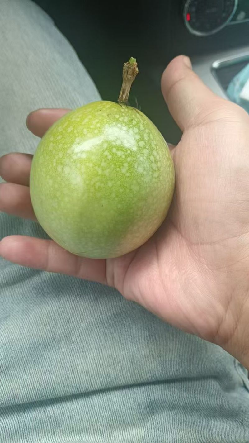 广西百香果钦蜜九号百香果，全国发货，品质保证，对接电商商超