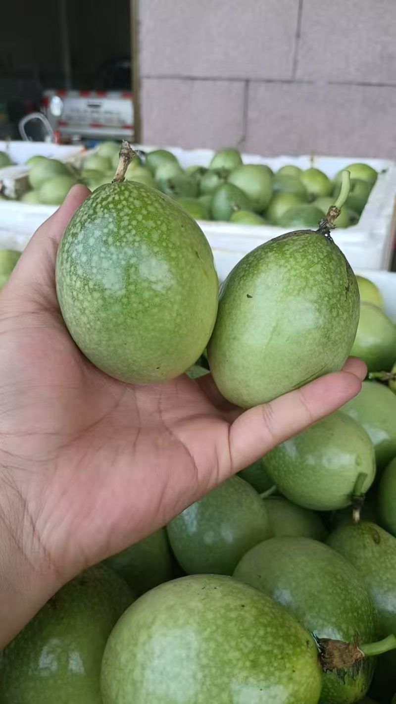 广西百香果钦蜜九号百香果，全国发货，品质保证，对接电商商超