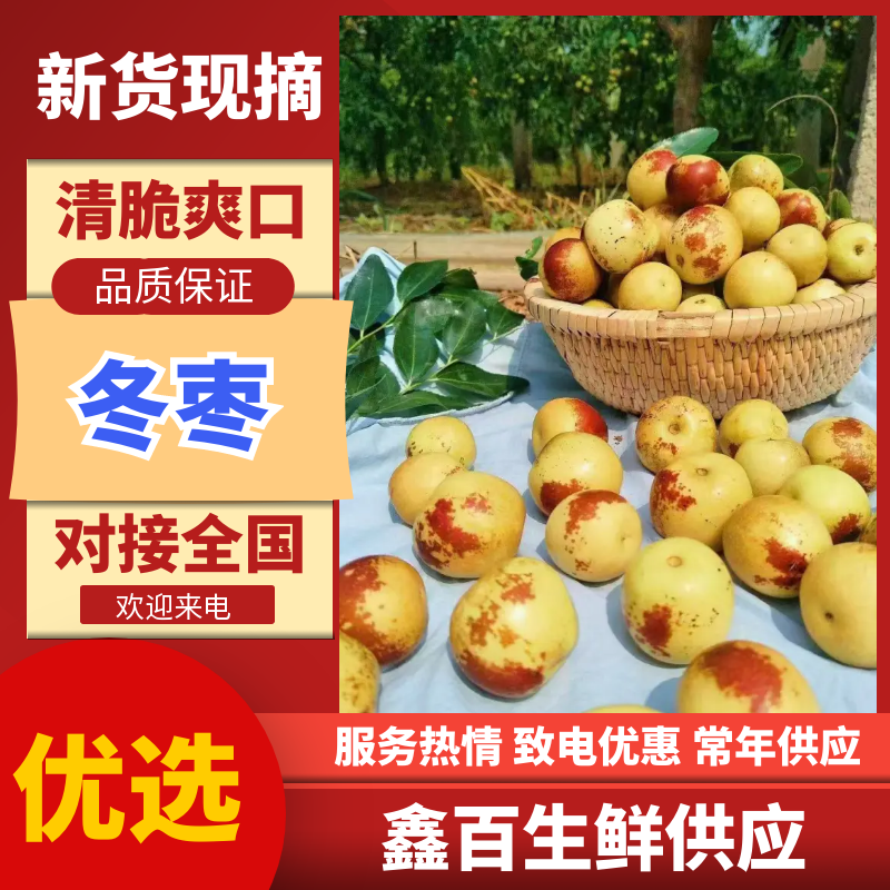 冬枣陕西大荔冬枣鲜枣对接电商一件代发社区团购市场批发