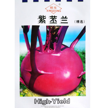邢东紫苤蓝种子秋季中熟70天紫丕兰薄质脆大田基地高产种籽