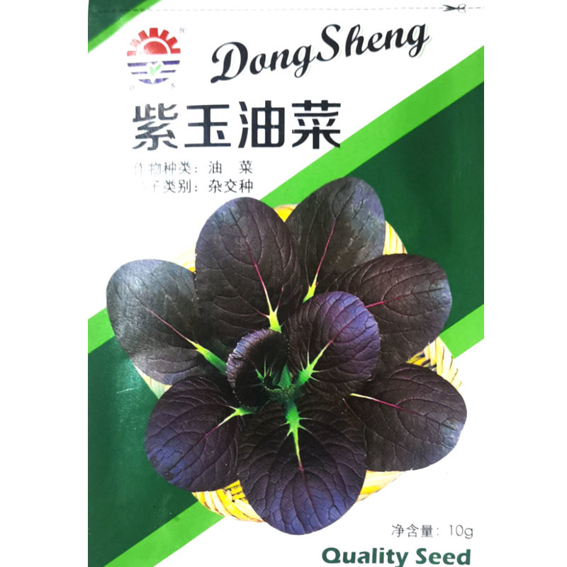 东升紫玉油菜种子半束腰耐春秋四季农家庭院菜园速生高产种籽