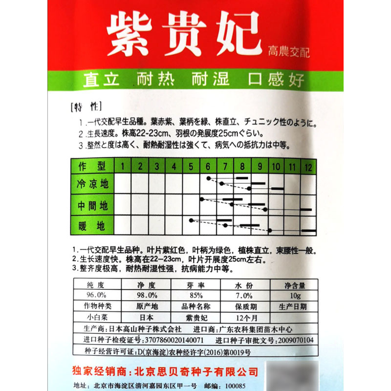 紫贵妃油菜种子春秋四季阳台盆栽速生高产小青菜鸡毛菜种籽