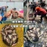微山湖生态鲫鱼去鱼鳞净膛淡水鱼大小鲫鱼全国发货量大从优