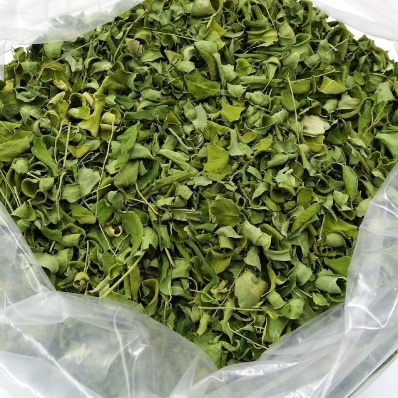 中药材辣木叶批发辣木干叶片辣木叶茶云南辣木叶