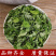 中药材辣木叶批发辣木干叶片辣木叶茶云南辣木叶
