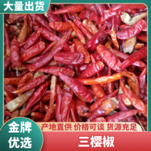 山东辣椒三樱椒大量上市，干辣椒光泽度好欢迎来电