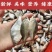 微山湖生态鳑鲏鱼新鲜净堂淡水鱼速冻通货全国发货量大从优