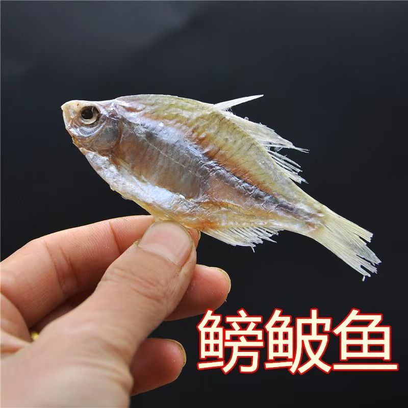 微山湖生态鳑鲏鱼干两个太阳自然晾晒阳干鱼全国发货量大从忧