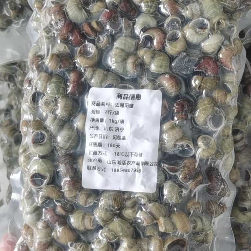 微山湖清水田螺新鲜活体去尾焯水田螺干净全国发货量大从忧