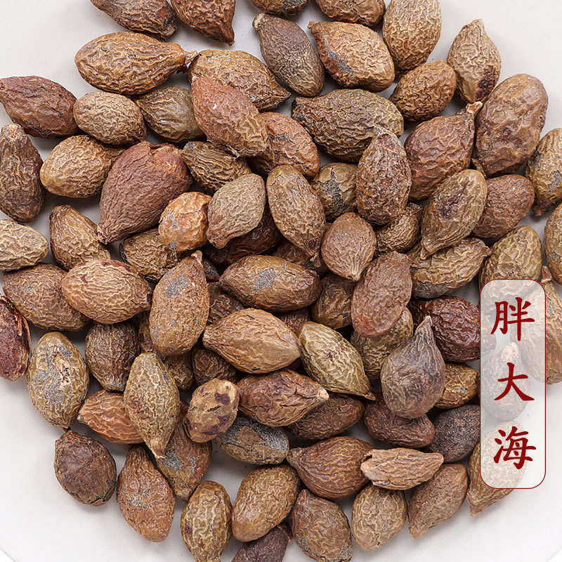 胖大海长果散装批发产地现货胖大海