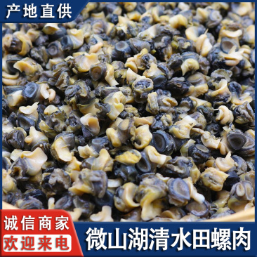 微山湖清水田螺肉生态田螺现剥新鲜螺肉全国发货量大从忧
