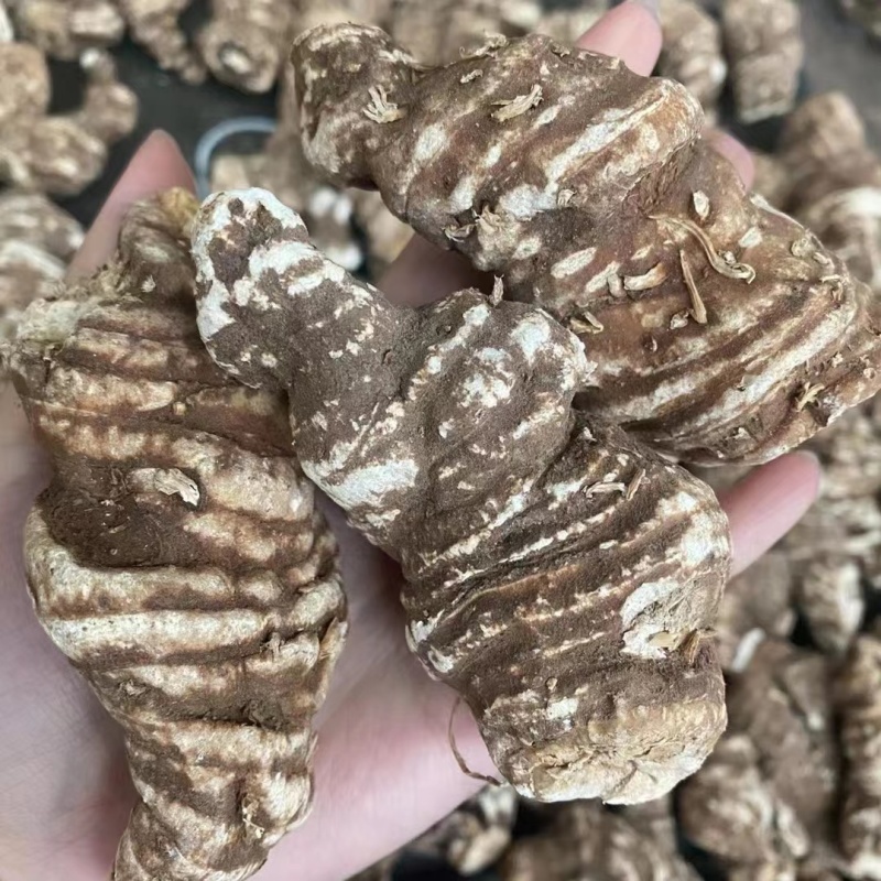 云南精选粉重楼片一手货源干货批发滇重楼个七叶一枝
