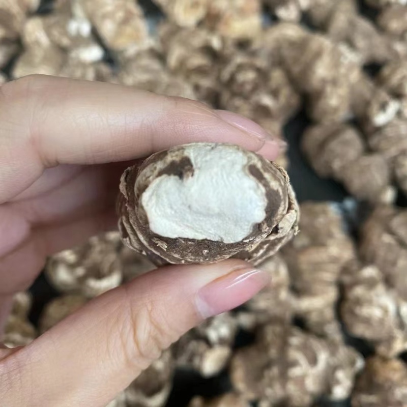 云南精选粉重楼片一手货源干货批发滇重楼个七叶一枝