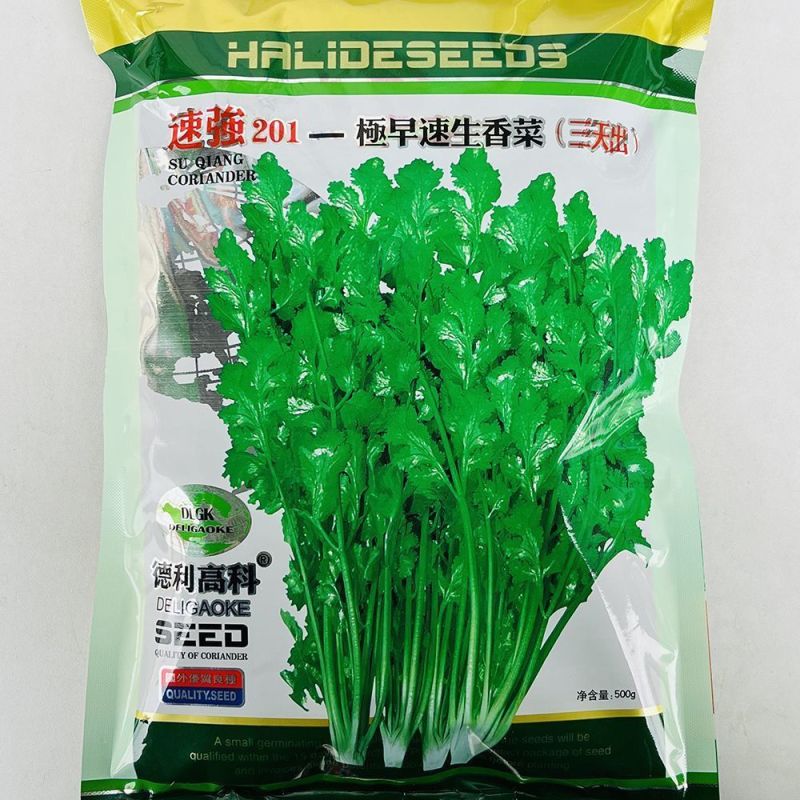 速生201三天出香菜种子浓香深绿耐热抗病四季大叶香菜种子