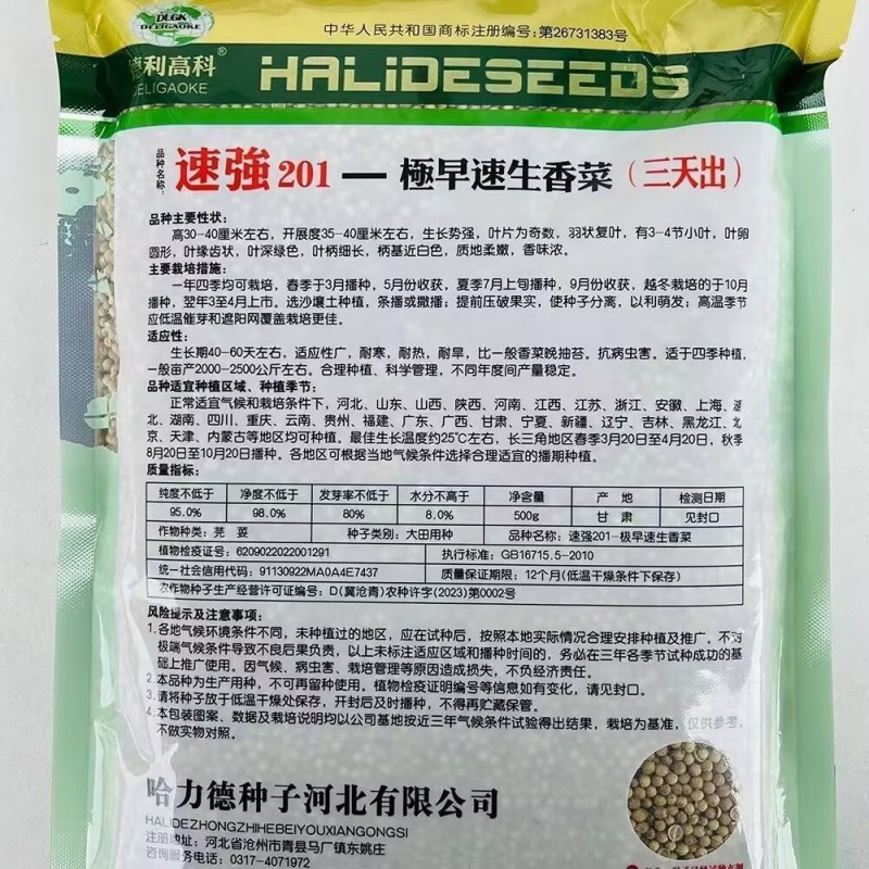 速生201三天出香菜种子浓香深绿耐热抗病四季大叶香菜种子