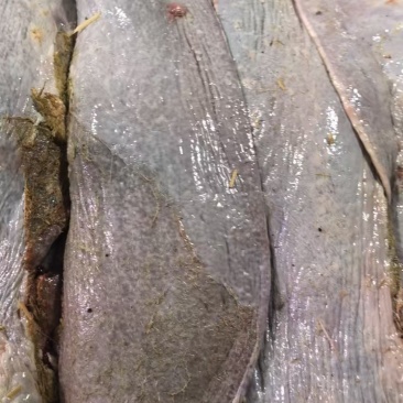 精品牛沙肝，品质保证，价格优惠，产地直发，实力商家