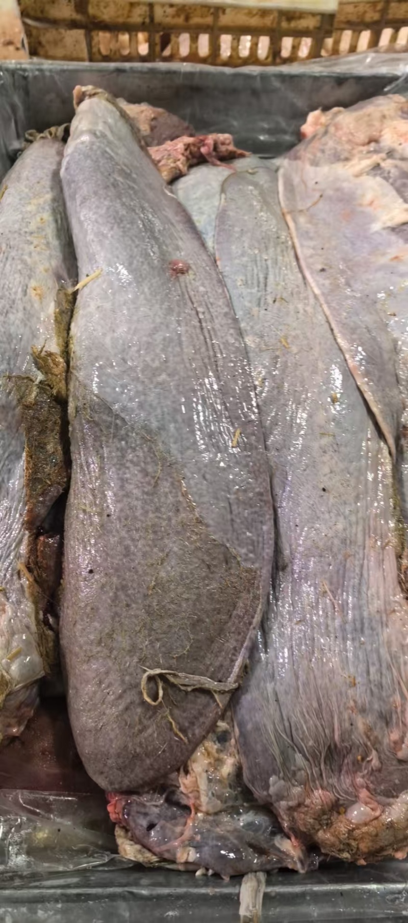 精品牛沙肝，品质保证，价格优惠，产地直发，实力商家