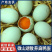 微山湖麻鸭蛋，散养鸭子生的土鸭蛋，红心的。