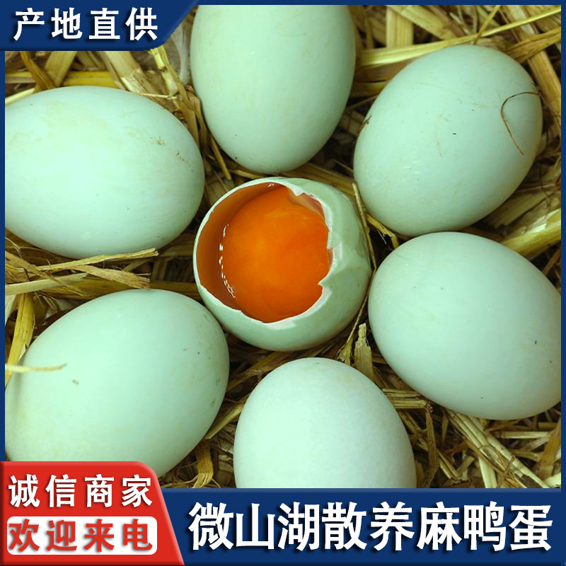 微山湖麻鸭蛋，散养鸭子生的土鸭蛋，红心的。