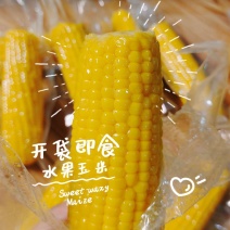 【精选】免煮糯玉米真空包装新鲜糯玉米批发