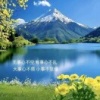 王永义的一亩田店铺