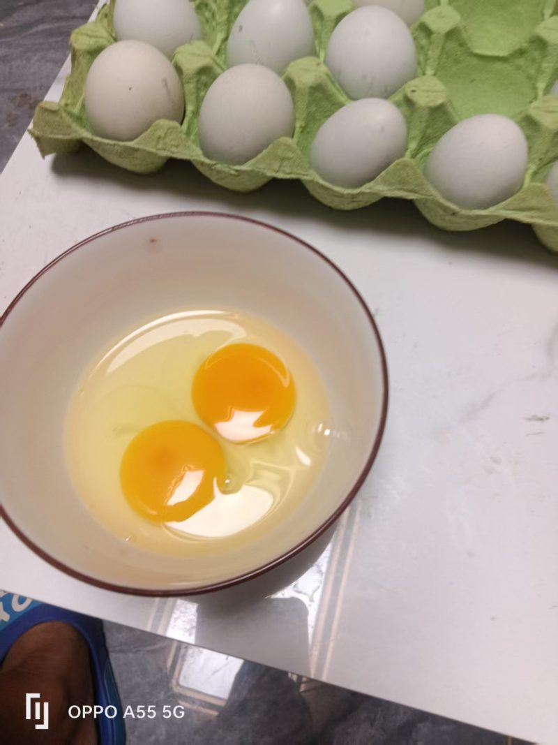 绿壳土鸡蛋一手货源现货现发品质保障欢迎咨询合作