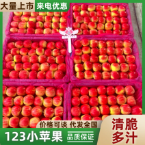 辽宁西丰123小苹果颜色红口感脆甜多汁产地直发