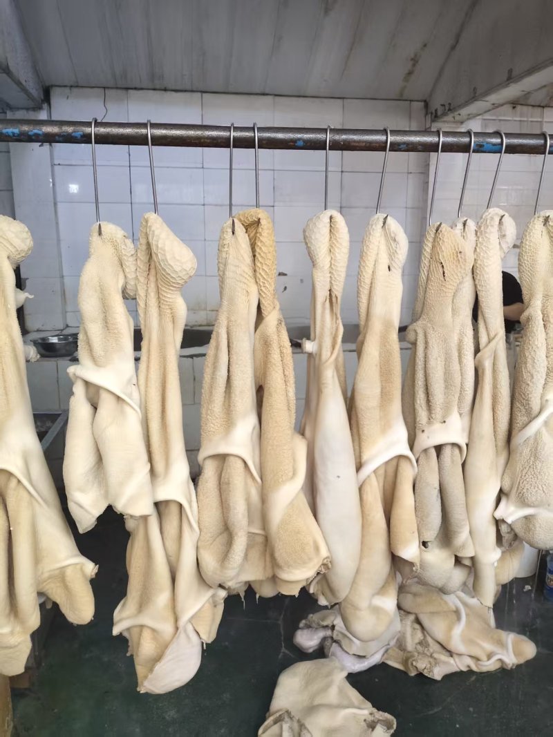 牛肚熟牛肚大量供应品质保证供应全国市场电商商超