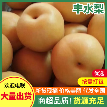 【现摘现发】江苏套袋丰水梨规格齐全量大价优欢迎来电咨询