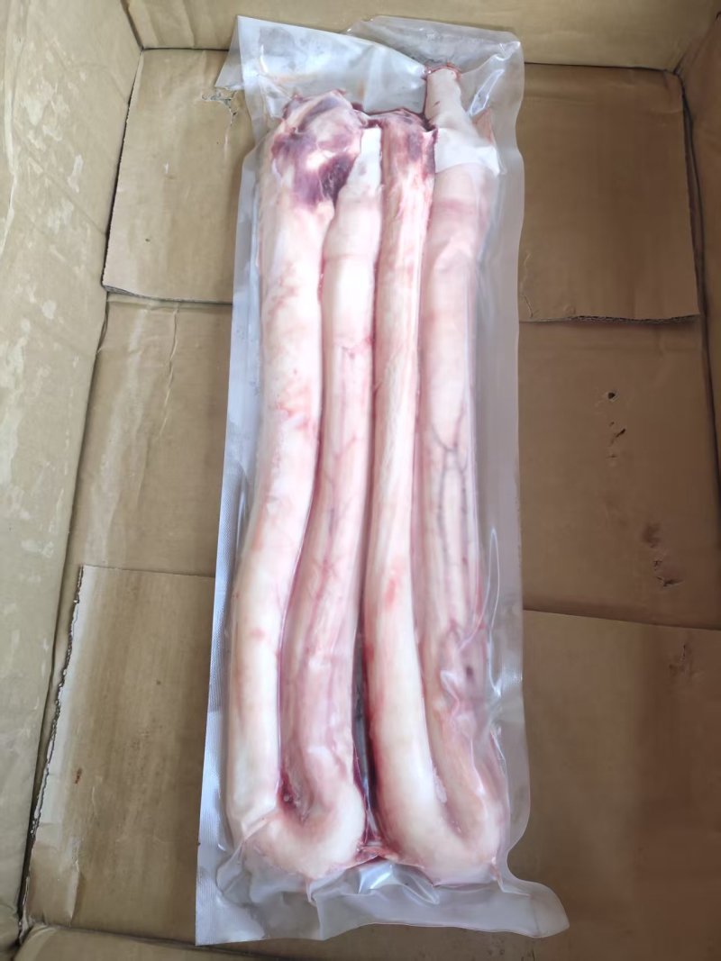 牛鞭精品牛鞭大量供应品质保证代发全国市场欢迎咨询
