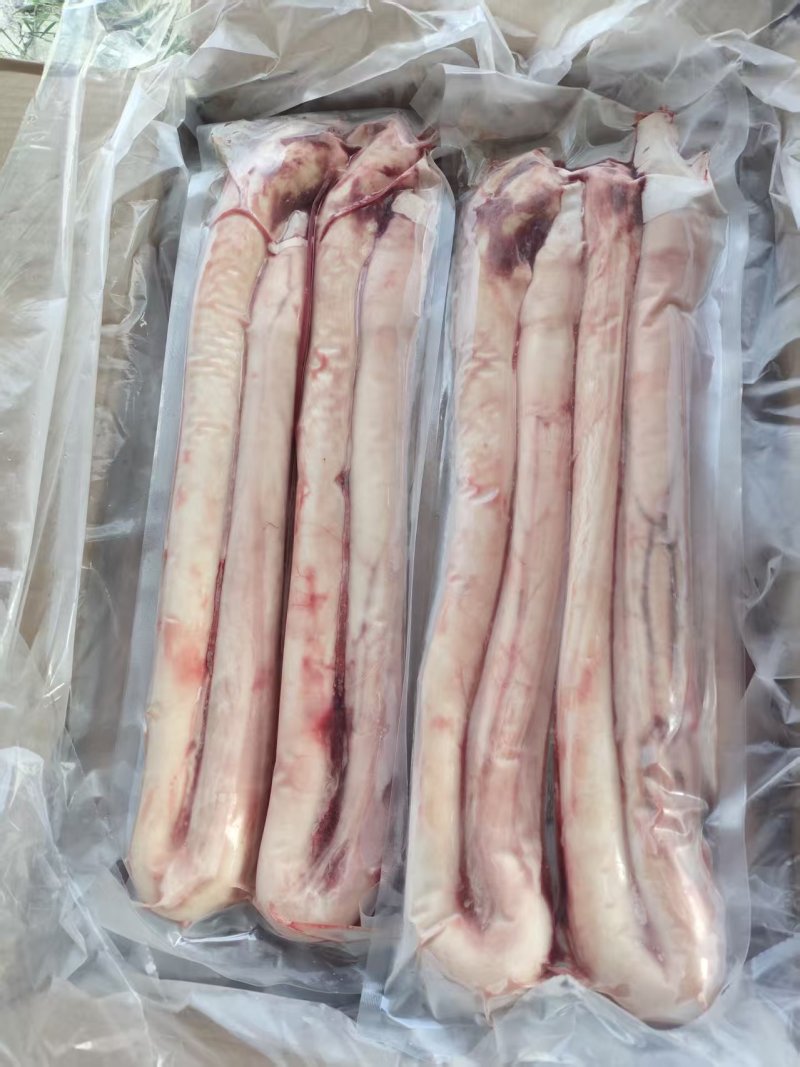 牛鞭精品牛鞭大量供应品质保证代发全国市场欢迎咨询