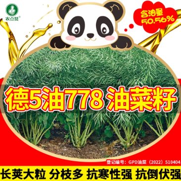油菜籽-甘蓝型杂交品种耐寒抗倒