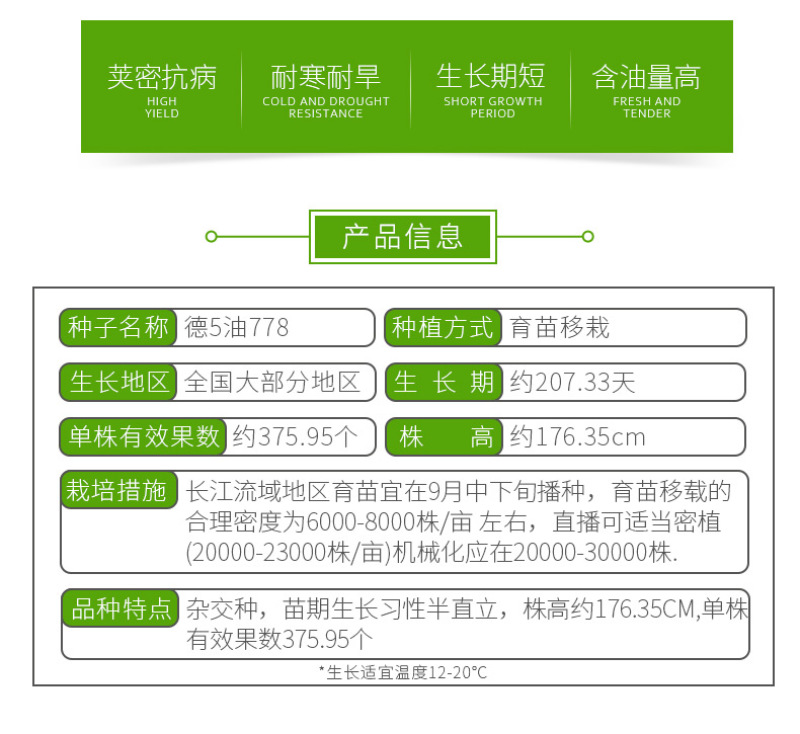 油菜籽-甘蓝型杂交品种耐寒抗倒