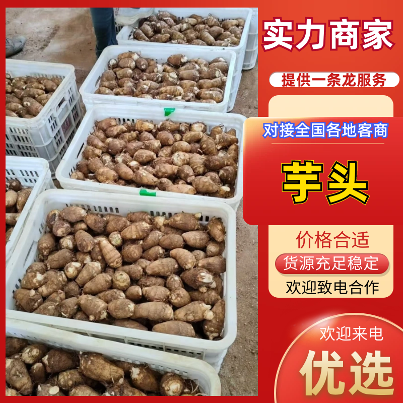 山东精品毛芋头基地直供质量保证对接商超市场量大优惠