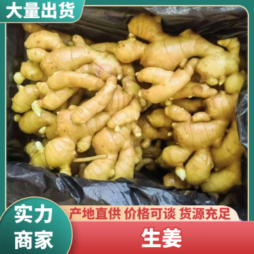 精选山东生姜大黄姜基地直发质量保证全国发货对接商超