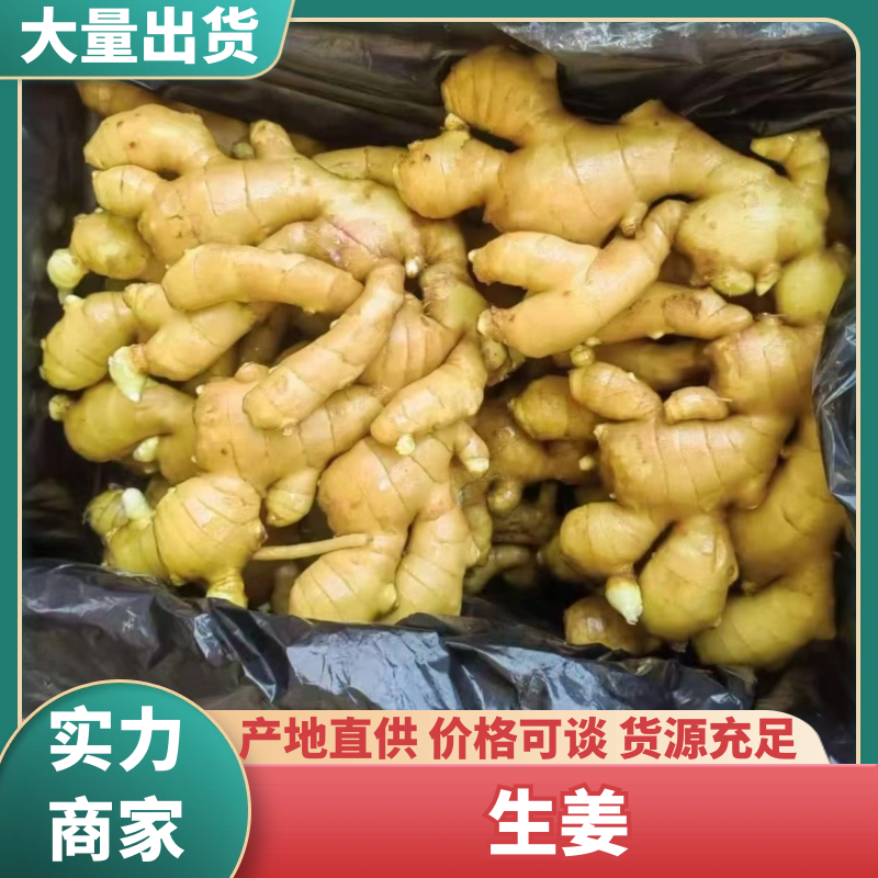 精选山东生姜大黄姜基地直发质量保证全国发货对接商超